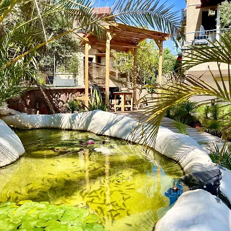 דירות אילת Oasis Garden מראה חיצוני תמונה