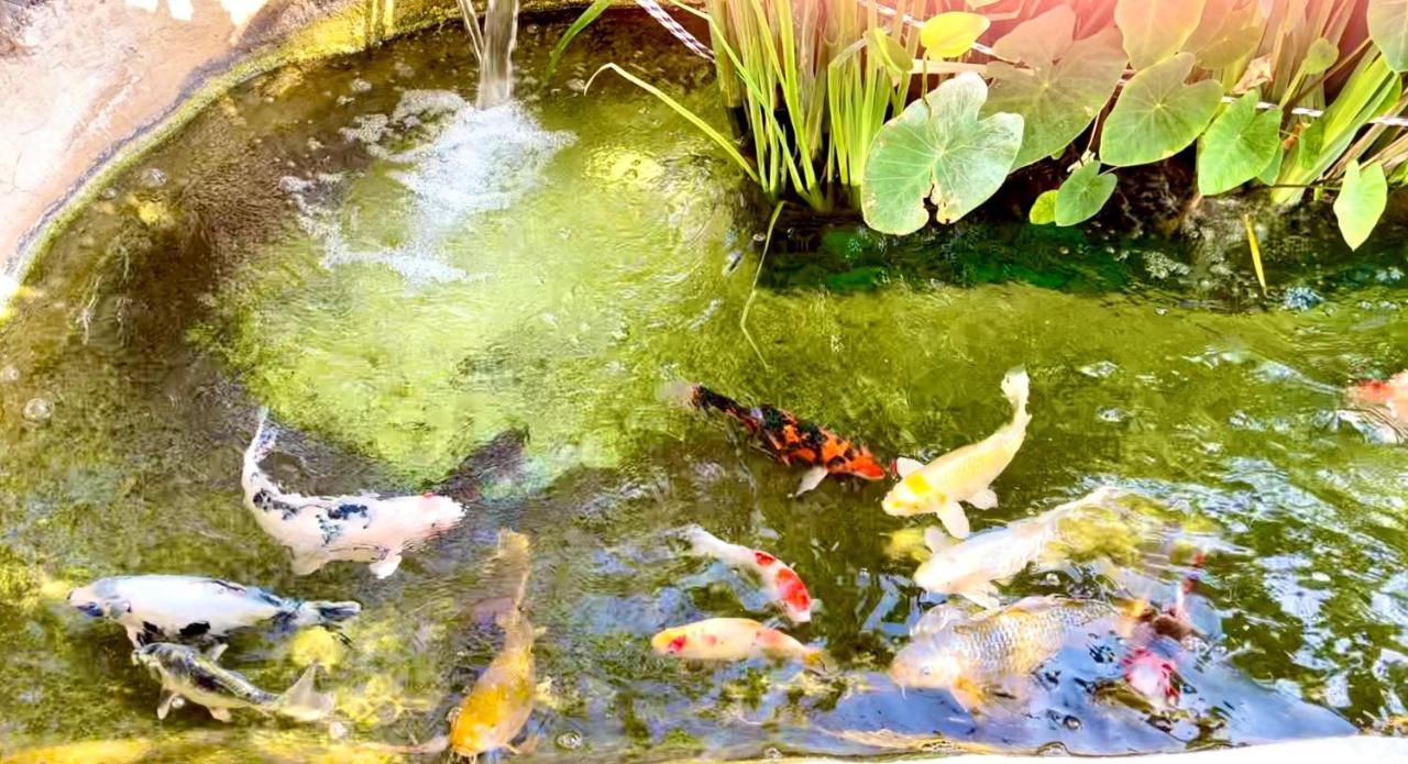 דירה Oasis Garden *