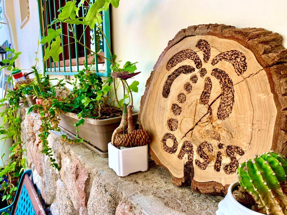 Oasis Garden