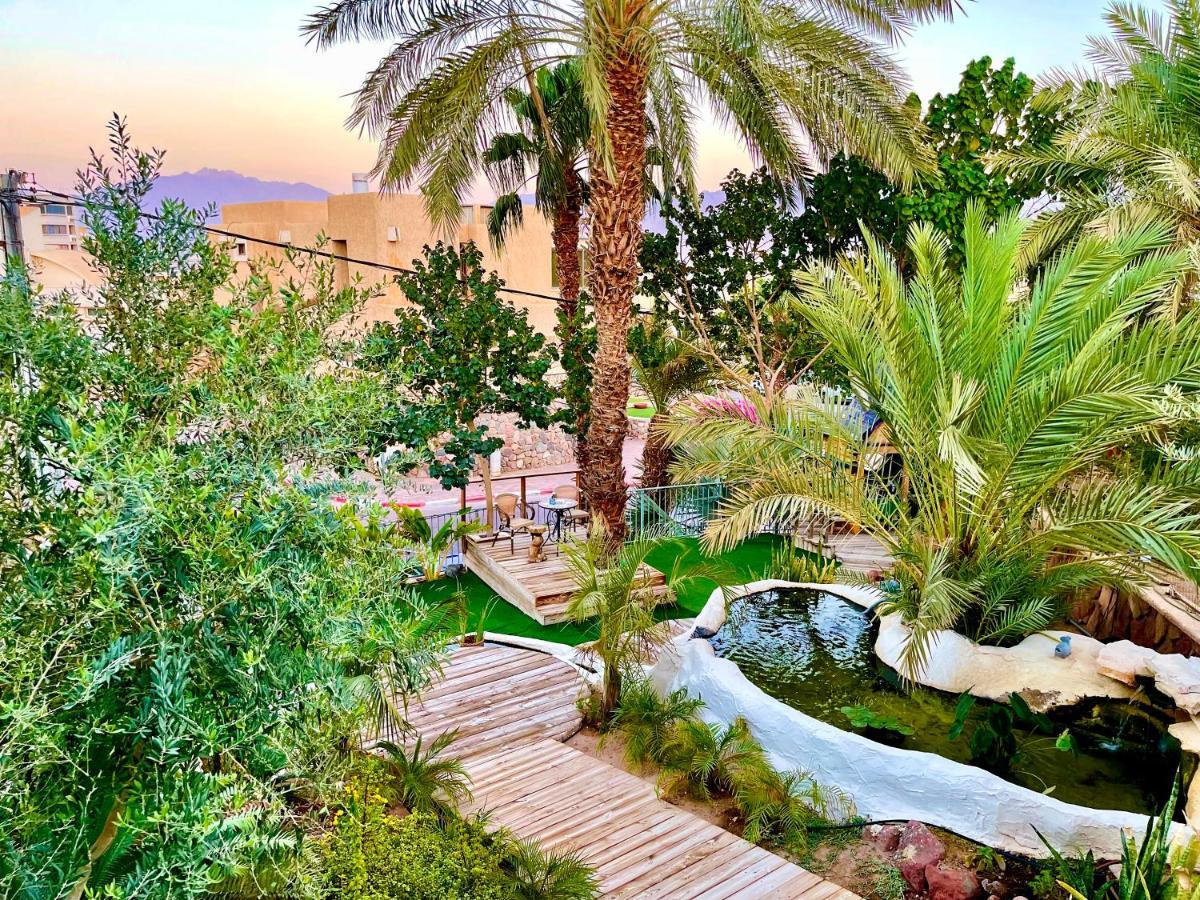 Oasis Garden