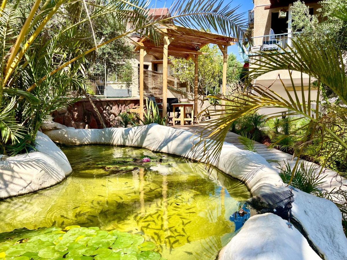 Oasis Garden אילת